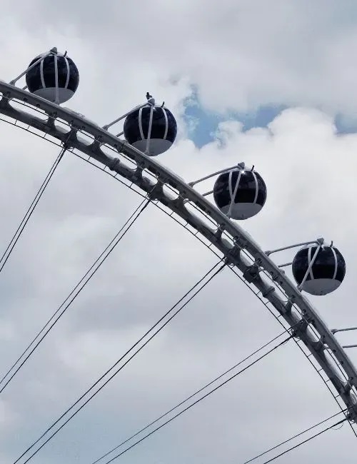 Descripción de la imagen